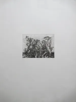 Fer Hakkaart - Koppel in roeibootje - Ets kopen? Bied vanaf 80!