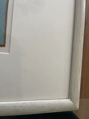 Huibert van Dorp - BZZRH+ kopen? Bied vanaf 1!