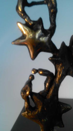 Corry Ammerlaan - Sterrenteam kopen? Bied vanaf 29!