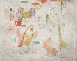 Henk Tichelaar - Droge naald en aquarel, Jumerkoeland kopen? Bied vanaf 40!