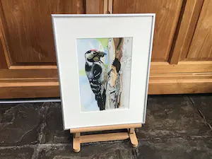 Niet of onleesbaar gesigneerd - Specht kopen? Bied vanaf 1!