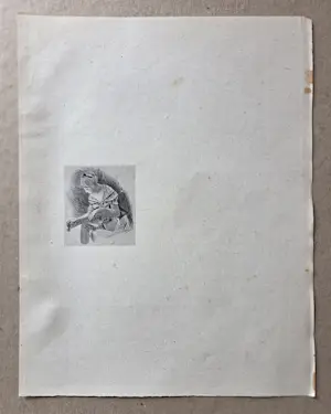 Felicien Rops - Zeven heliogravures. Vrouwen. 1905. kopen? Bied vanaf 139!