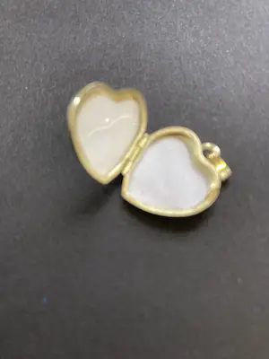 14 karaats bicolor gouden hartvormig medaillon kopen? Bied vanaf 140!