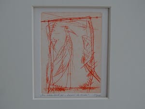 Ko Oosterkerk - Vogel in tuin kopen? Bied vanaf 75!