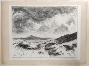 Johannes Graadt van Roggen - Duinlandschap I kopen? Bied vanaf 125!