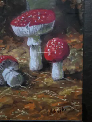Henriette Hubregtse-Lanzing - Paddestoelen. Vliegenzwammen. kopen? Bied vanaf 89!