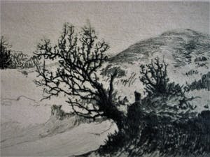 Dirk Harting - Meesterlijk Etser - Willink van Collenprijs 1913 - "Duinlandschap omstreeks 1920 kopen? Bied vanaf 10!