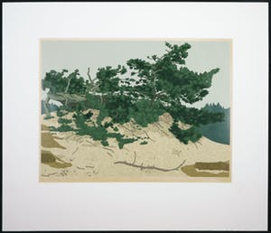 Sees Vlag - Zeefdruk, Kootwijkerzand kopen? Bied vanaf 40!