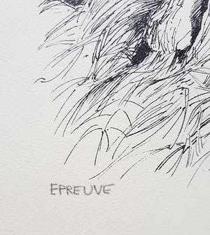 Patrick Creyghton - Wilg met boomstammen, litho kopen? Bied vanaf 50!