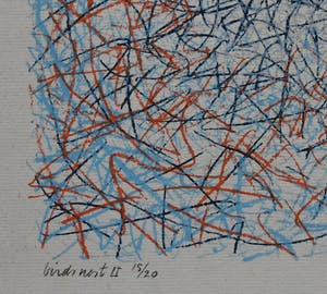 Theo Tomassen - # BIRDSNEST II # 1979, oplage 20, genummerd/gesigneerd, mint- kopen? Bied vanaf 35!