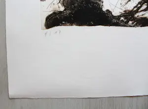 Gunter Damisch - "2 POLE" - Radierung - Auflage von 17- signiert - nummeriert kopen? Bied vanaf 400!