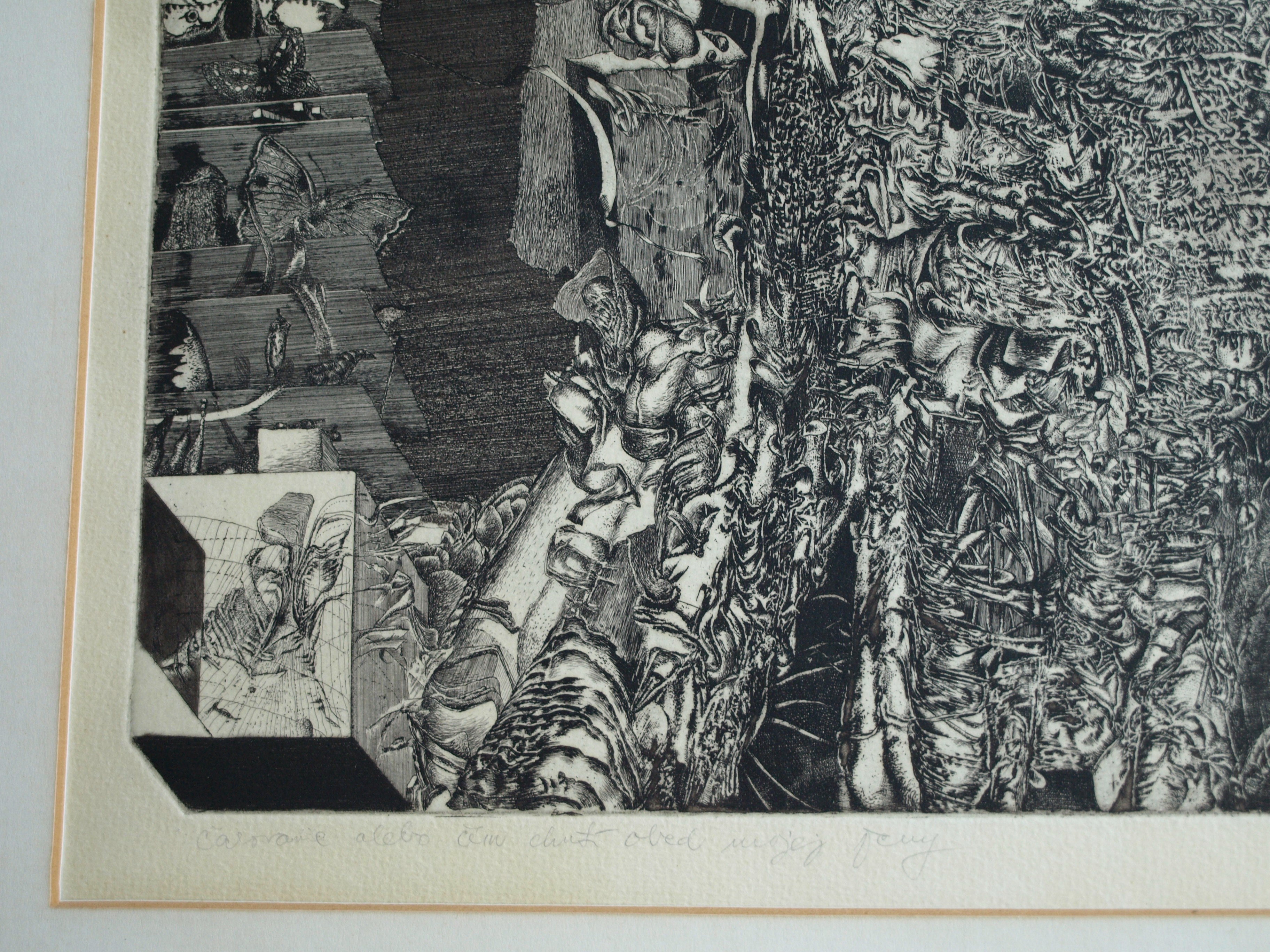 Karol Ondreicka - GROTE ets, “Moeder Aarde” – gesigneerd – 1983 – oplage 13 / 50 kopen? Bied vanaf 40!