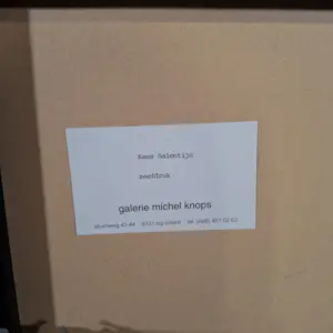 Kees Salentijn - Zeefdruk, De stadsfietser ingelijst kopen? Bied vanaf 60!