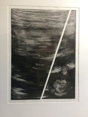 Jan Haas - ets, genummerd 4/50 kopen? Bied vanaf 25!