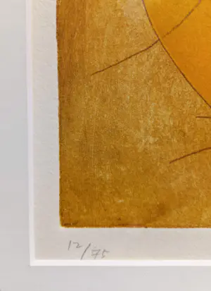 Duck Sung Kang - Semi-abstract stilleven, aquatint ets (mooi ingelijst) kopen? Bied vanaf 95!