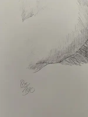 Peter Vos - Litho - Schiereiland Melancholie kopen? Bied vanaf 70!