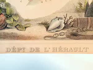 Victor Jules Levasseur - Illustrierter Nationalatlas (Südregion 21) – ca. 1845–1856 kaufen? Bieten Sie von 200!