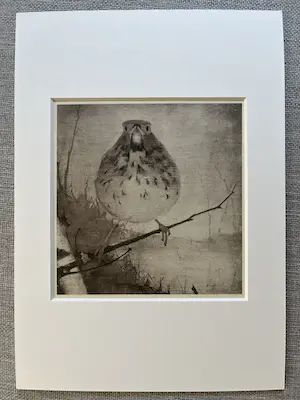 Jan Mankes - Originele Heliogravure - Lijster op Tak 1923 kopen? Bied vanaf 165!