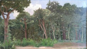 Niet of onleesbaar gesigneerd - N.Bast...?? - Eind 19e eeuw - Boslandschap kopen? Bied vanaf 1!