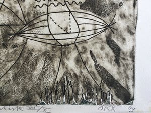 Kees Okx - Heliotropisme | unieke en zeldzame ets (E.A. VII/X) - in bijzondere wissellijst kopen? Bied vanaf 89!