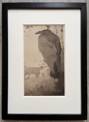 Jan Mankes - Originele Heliogravure Raaf in Berkenboom 1923 kopen? Bied vanaf 165!