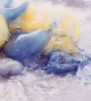 Margriet Smulders - Medusa II kopen? Bied vanaf 600!