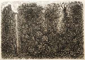 Simon Koene - Tropisch oerwoud met kloof en burcht verkocht voor € 15!