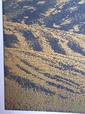 Elmar Gille - Casa Ardente kopen? Bied vanaf 120!