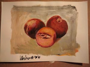 Peter Klashorst - Juicy Pussy Apple kopen? Bied vanaf 125!