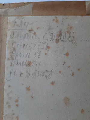 Felicien Rops - Ets, Vrouw in de stoel uit 1876 kopen? Bied vanaf 30!