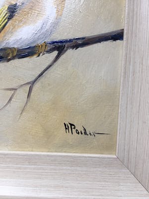 Henk Poeder - Puttertje kopen? Bied vanaf 50!