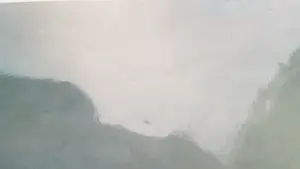 Bettina Rheims - Ohne Titel kopen? Bied vanaf 79!