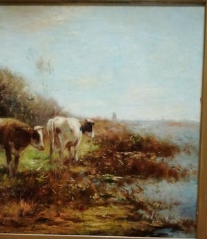 Cor Bouter - Drie koeien aan de waterkant. kopen? Bied vanaf 350!