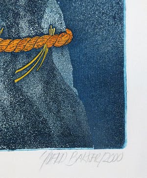 Sjoerd Bakker - gekroonde bergtop kopen? Bied vanaf 45!