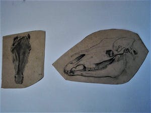 Pieter Dupont - Jonggestorven Alleskunner - 2 orig. potlood tekeningen "Paard en Schedel" gesign kopen? Bied vanaf 20!