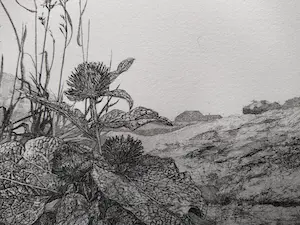 Fred Couprie - 1976 - Zonder titel kopen? Bied vanaf 30!