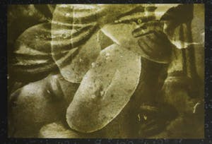 Titus Nolte - Zeefdruk, Titel ,"Groen". Ingelijst kopen? Bied vanaf 10!