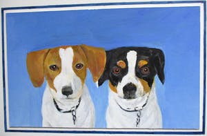 Ari Stolk - 2 Jack Russells kopen? Bied vanaf 35!