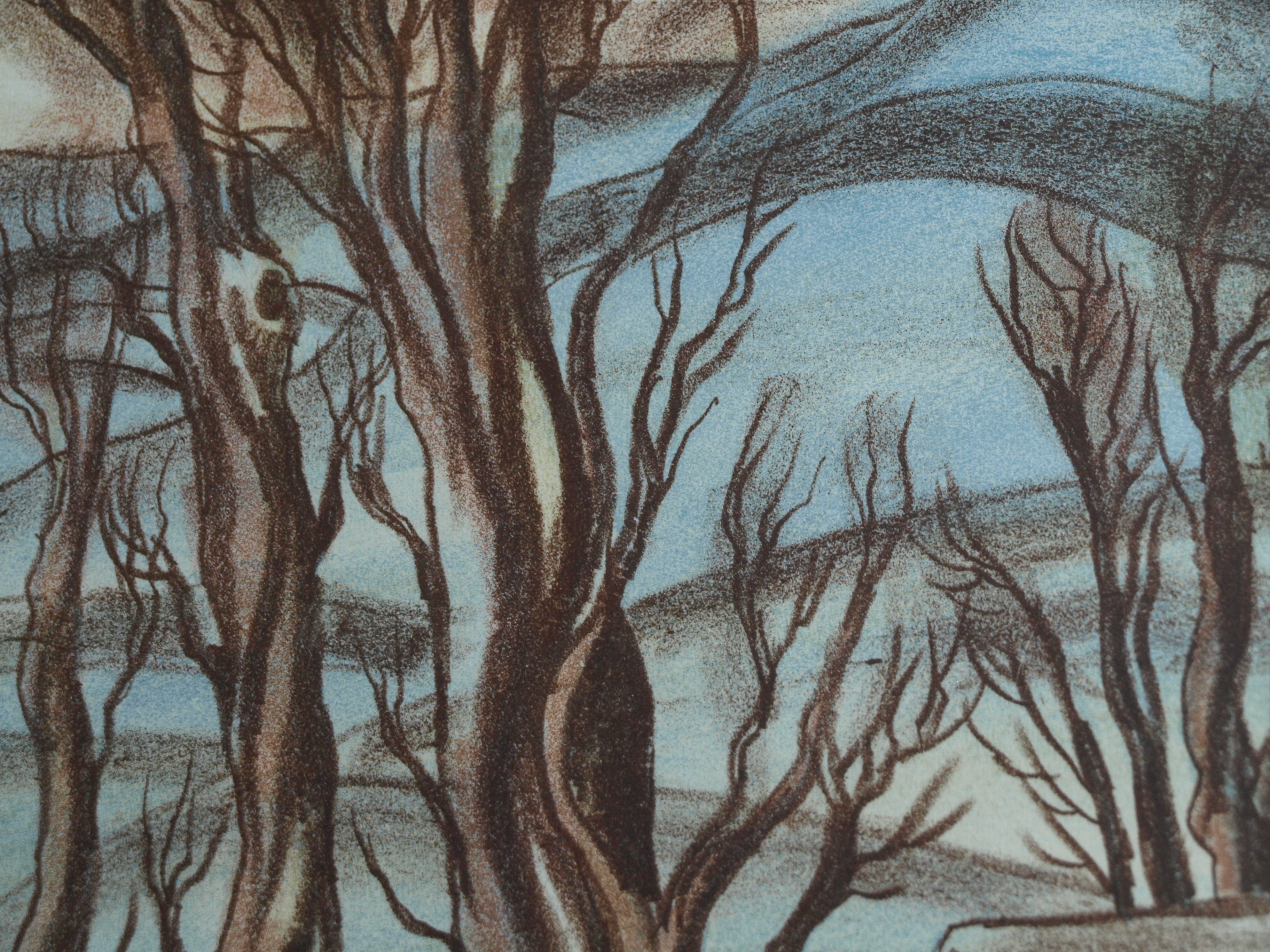 Luděk Majer - Litho, Winterlandschap 2 – gesigneerd & ingelijst – nr 2/50 - 1990 kopen? Bied vanaf 1!