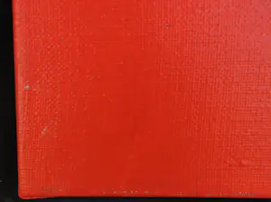 Ad Verstijnen - Acryl op doek, Trotse Poes - Ingelijst kopen? Bied vanaf 250!