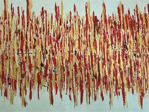 John Foppen - Rapsody In Gold + Red. ...... # K02 . XL. kopen? Bied vanaf 169!