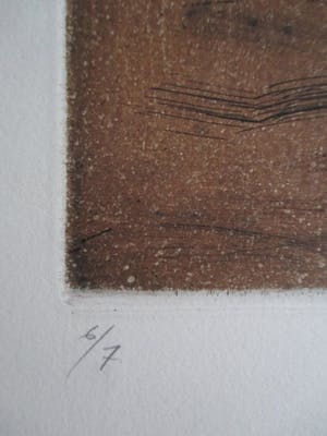 Willem Snitker - Ets "Lacrimae Antiquae" kleine oplage kopen? Bied vanaf 45!