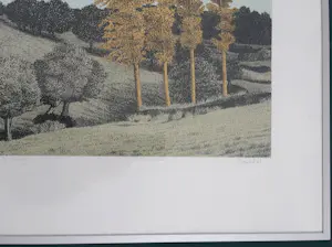 Sees Vlag - Geuldal kopen? Bied vanaf 75!