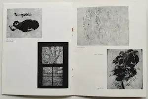 Grafisch Gezelschap de Luis - 2x catalogus met afbeeldingen van o.a. Peter Vos en Charles Donker kopen? Bied vanaf 20!