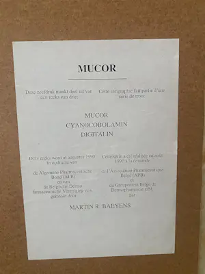 Martin R. Baeyens - MUCOR kaufen? Bieten Sie von 50!