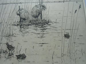 Johan Hemkes - EINEKUORREN kopen? Bied vanaf 35!