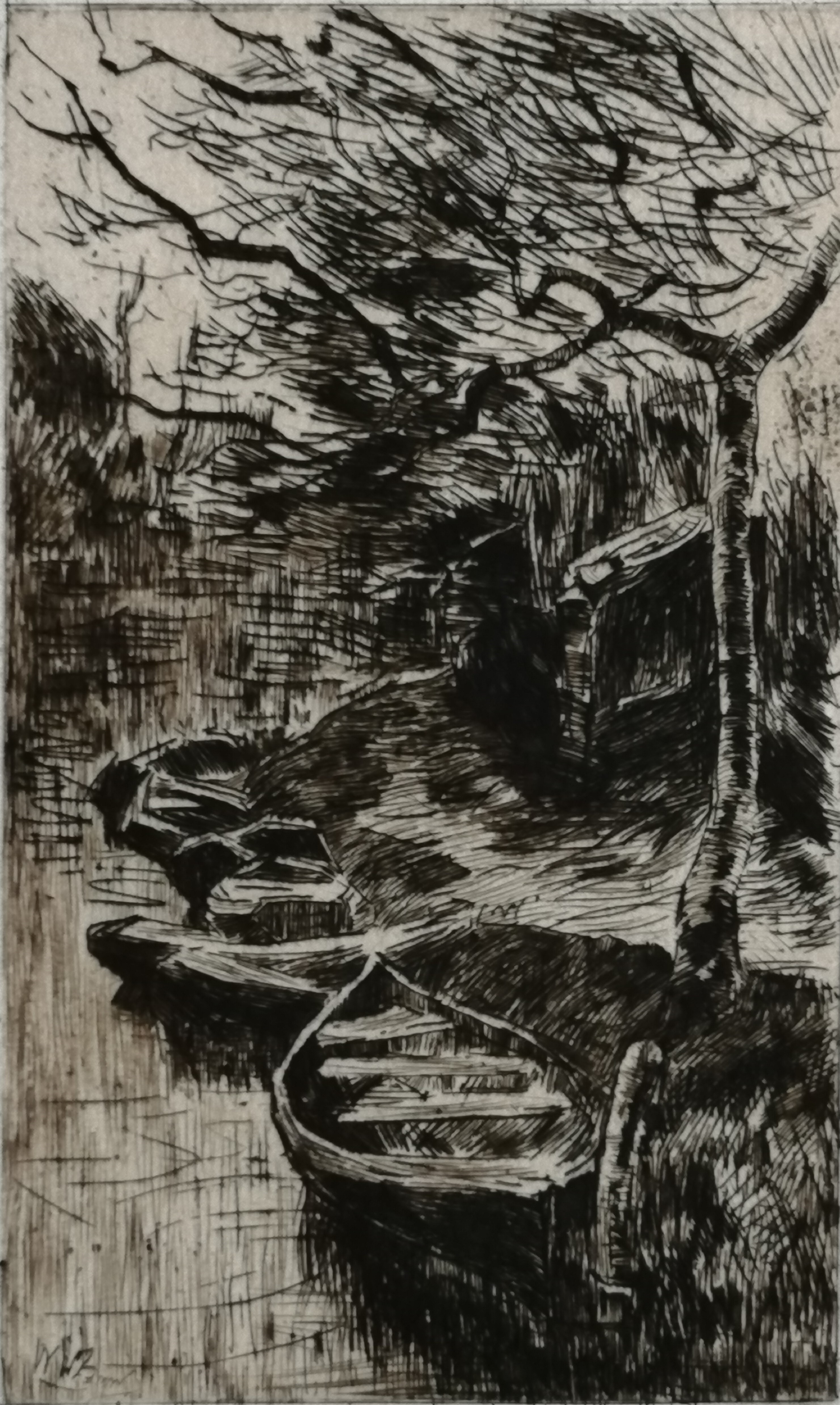 Willem de Zwart - Botenverhuur "Roeilust" (Loosduinse vaart) verkocht voor € 30!