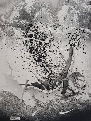 Jan Prins - Prachtige Ets - Gesigneerd in potlood kopen? Bied vanaf 1!