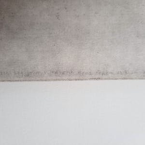 Charles Donker - Dode Beflijster kop naar rechts - bijzondere ets uit 1977 - 21019 kopen? Bied vanaf 275!