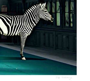 Mr. Strange - Les Zèbres kopen? Bied vanaf 65!